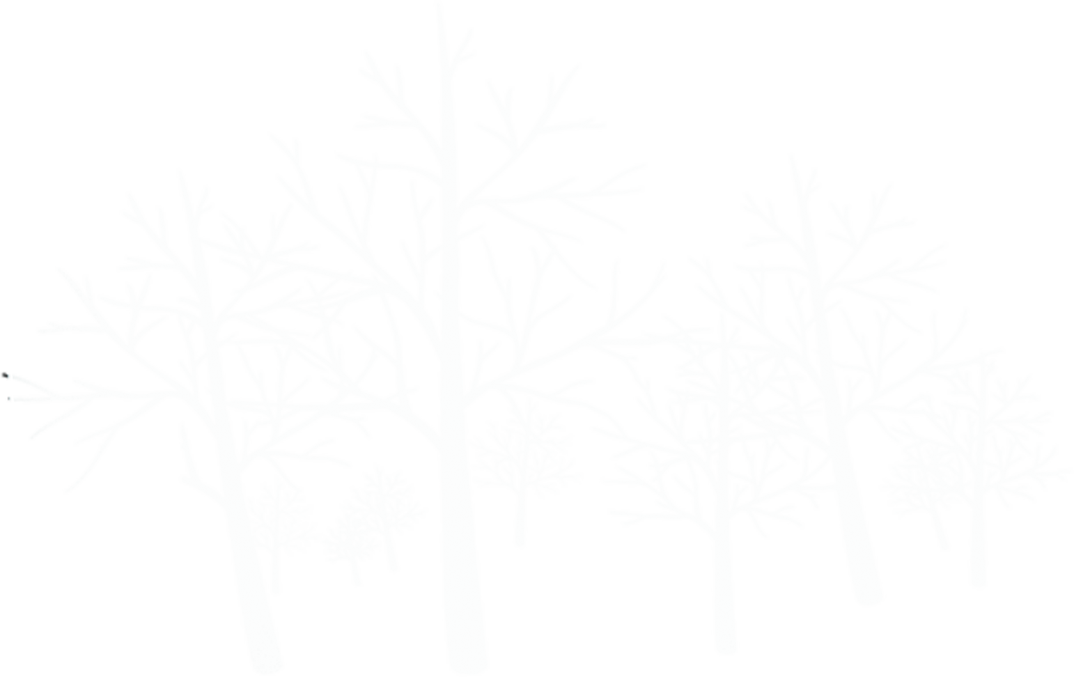 1542 X 972 7 - Tree Clipart (1542x972), Png Download