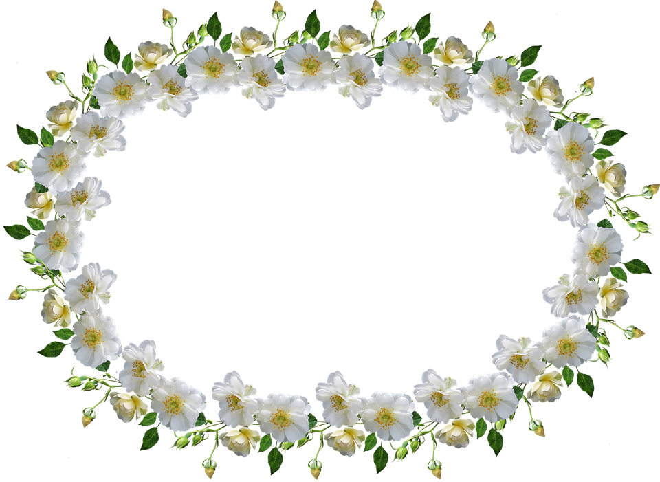 Frame, Border, White Rose, Floral - Bingkai Bunga Mawar Putih Clipart (960x701), Png Download