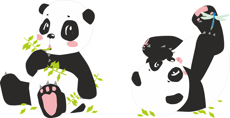 Panda Pandas Bear Dragonfly Bamboo Black White - Imagen Kawaii De Pandas Clipart (960x494), Png Download