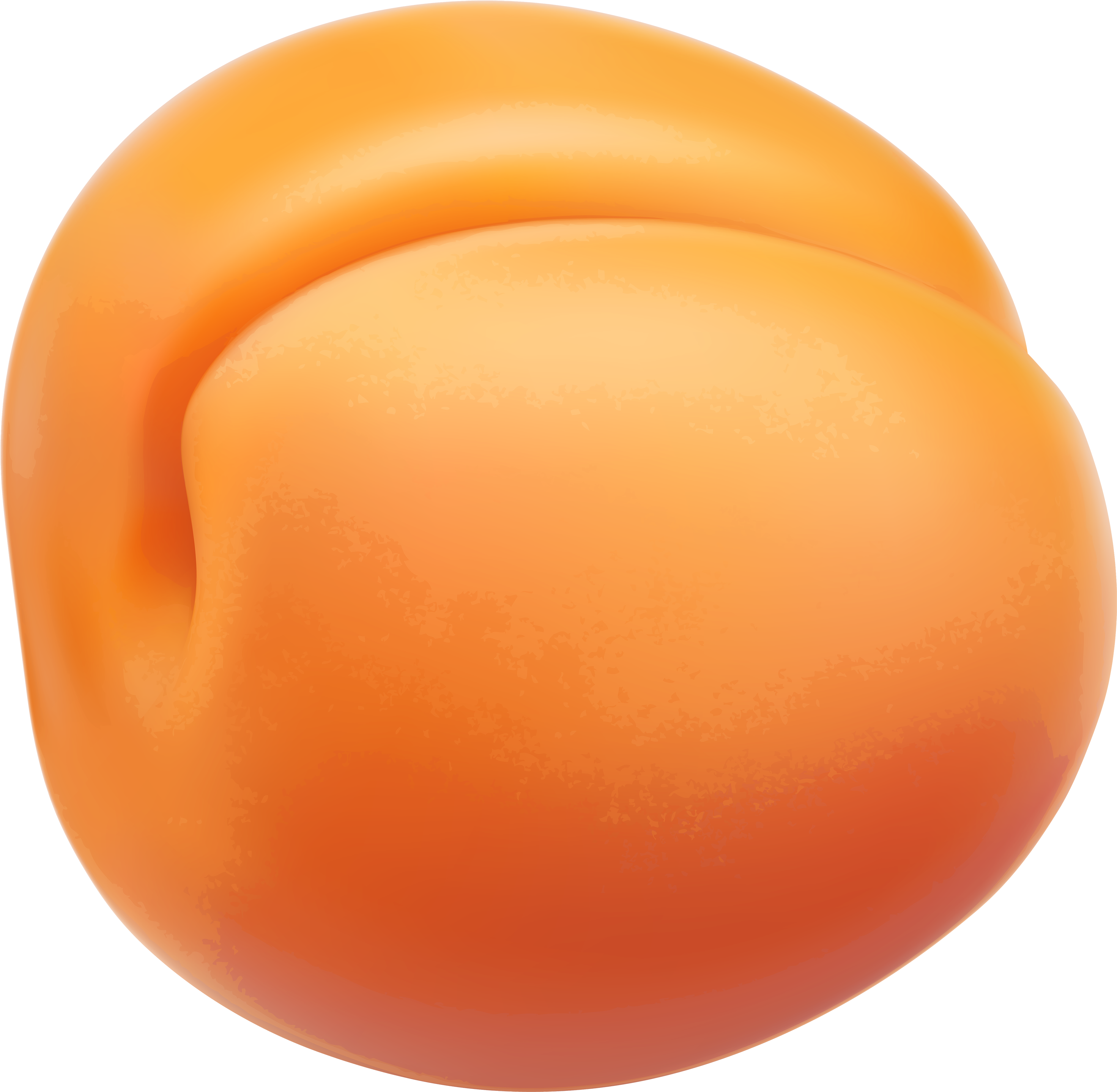 Apricot Png Clipart - Apricot Clip Art Transparent Png (3000x2932), Png Download