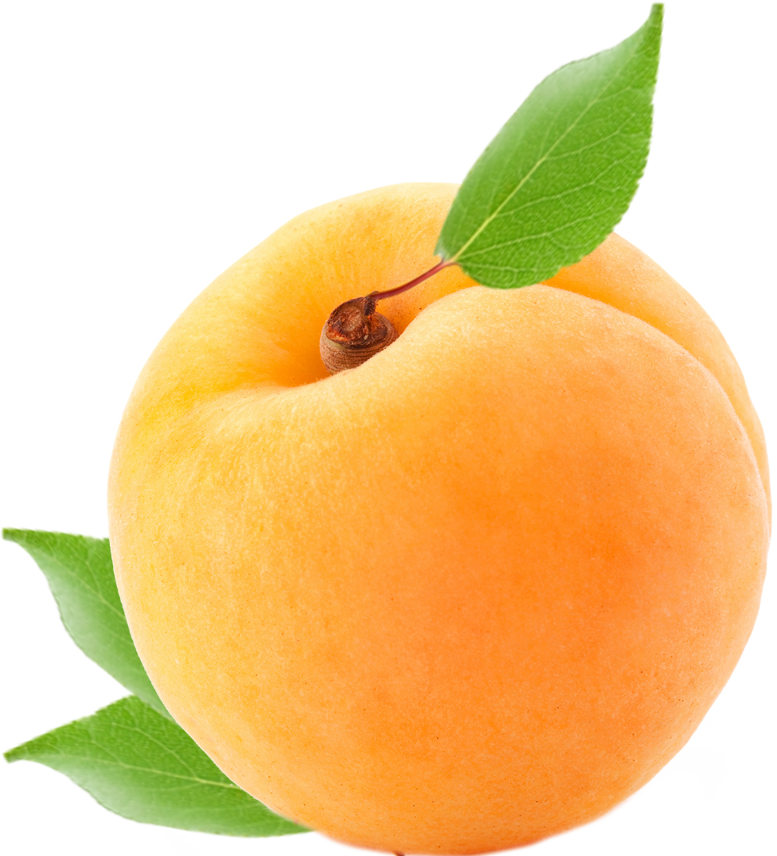 Apricot Clipart (1129x1243), Png Download