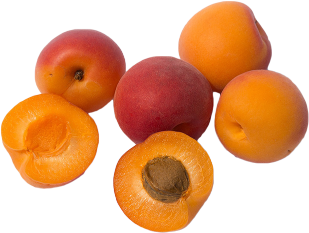 Apricots Clipart (700x600), Png Download