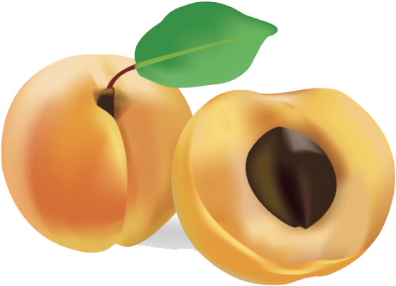 Clip Art - Png Download (640x480), Png Download