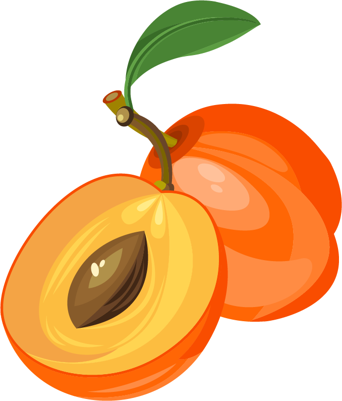 Peach Clipart Apricot - Clipart Apricot - Png Download (678x794), Png Download