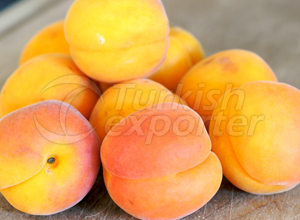 Apricot Clipart (300x220), Png Download