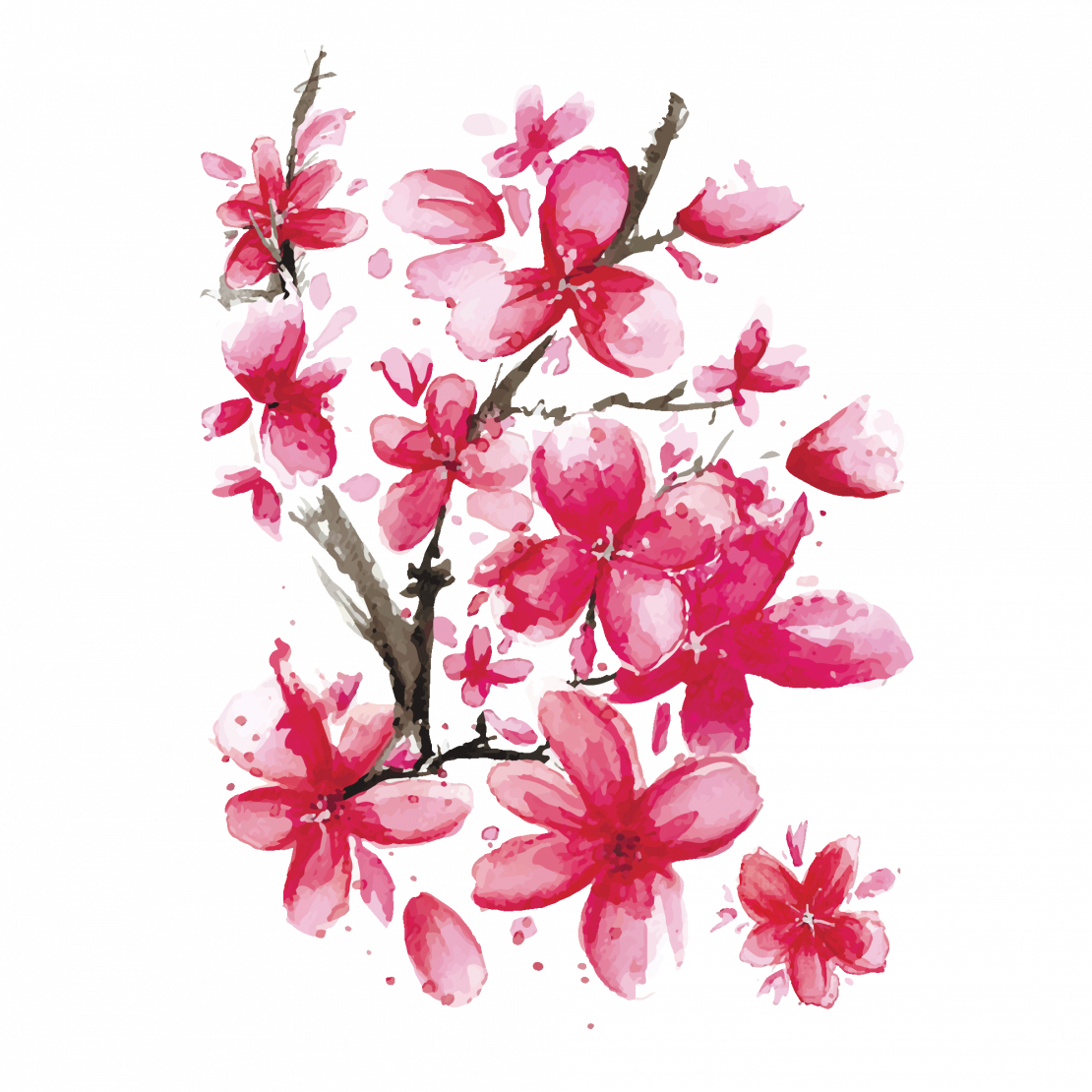 Pink Sakura - Ветка Сакуры На Прозрачном Фоне Clipart (1110x1110), Png Download