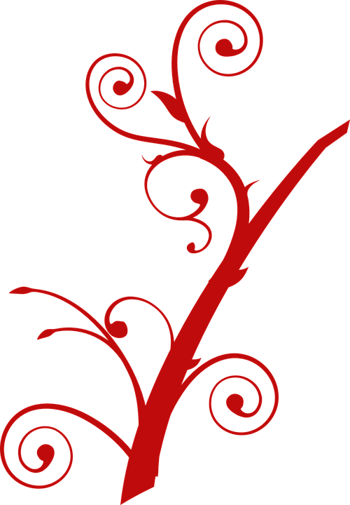 Red Vine Png - Tree Branch Clip Art Transparent Png (500x720), Png Download