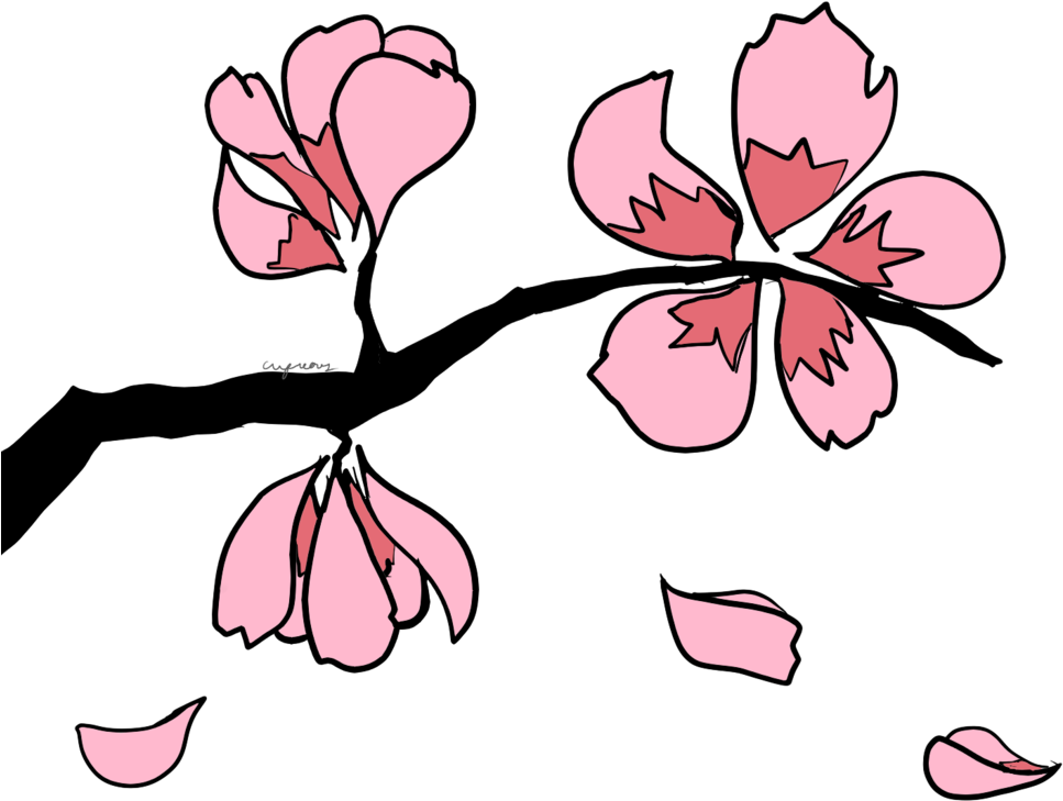 Sakura Blossom Clipart Leaves - Sakura Clip Art Png Transparent Png (894x894), Png Download