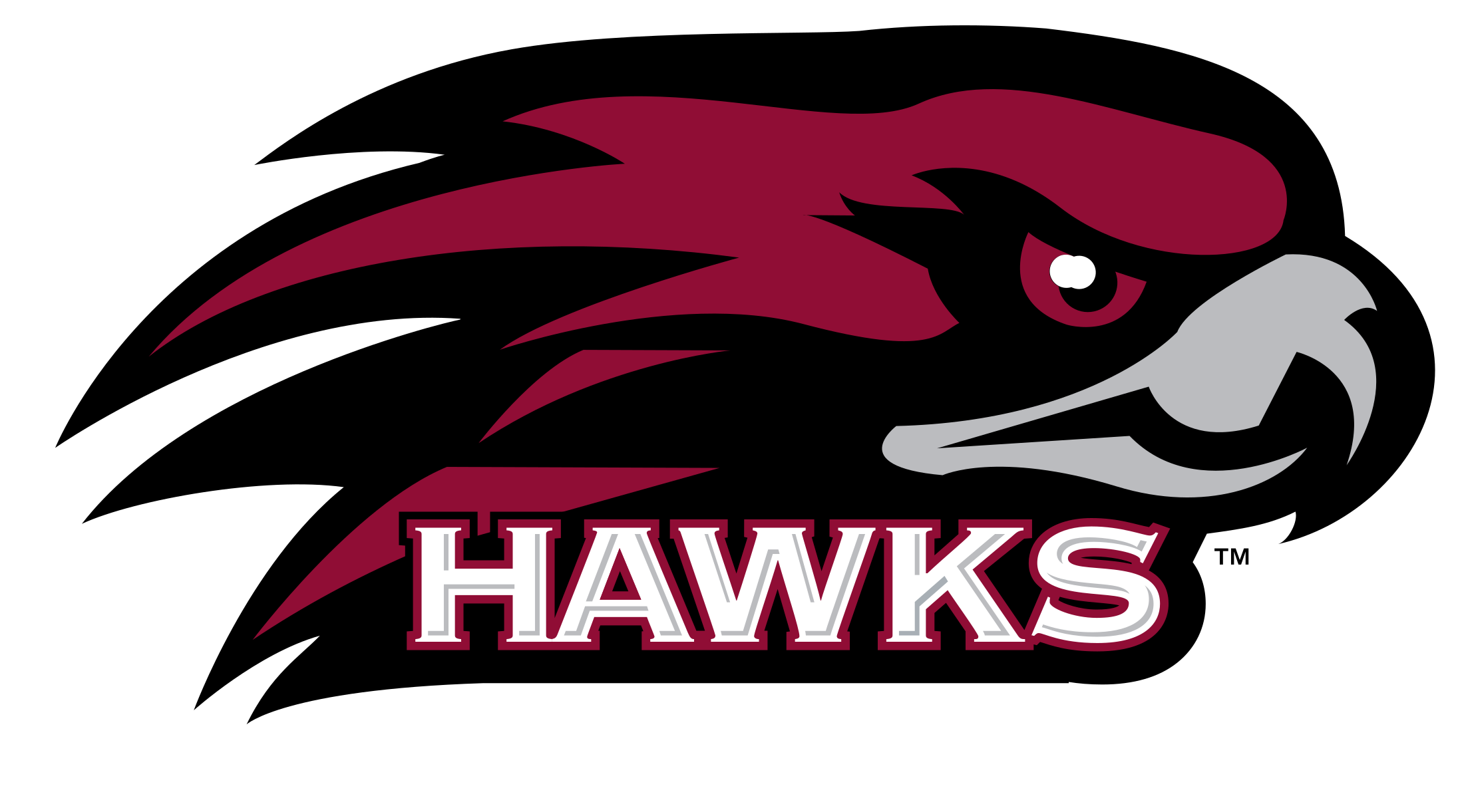 Атланта хоукс эмблема. Hawk tuah это. Red tail hawk and goshawk. Геральдический ястреб. Hawk.