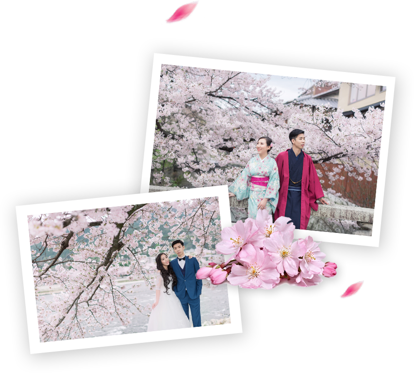 Best Cherry Blossoms Spots In Japan - Cherry Blossom Clipart (853x767), Png Download