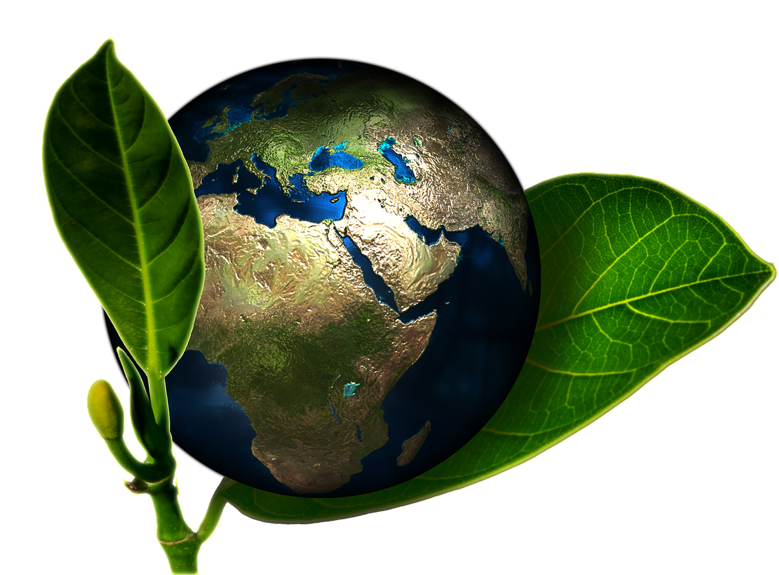 Green School Building Design Clipart (1280x853), Png Download