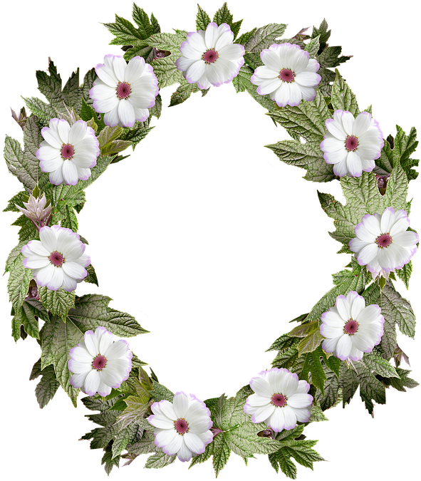 Wreath, Frame, Border, Flower, Leaf - Flower Clipart (631x720), Png Download