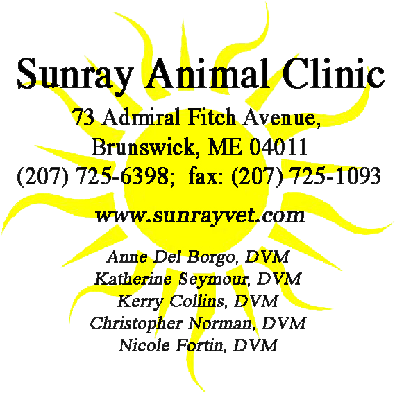 Circle Clipart (595x595), Png Download