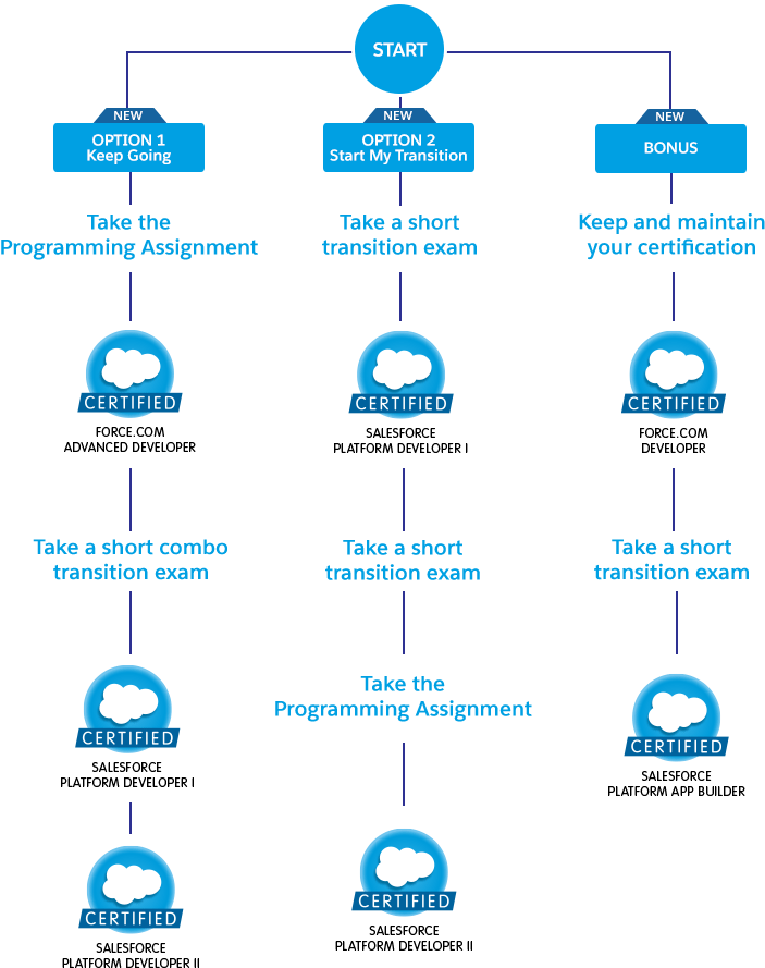 Logo, Salesforce Certification Exam Admin Vs Developer - Salesforce Certification Roadmap Clipart (800x979), Png Download