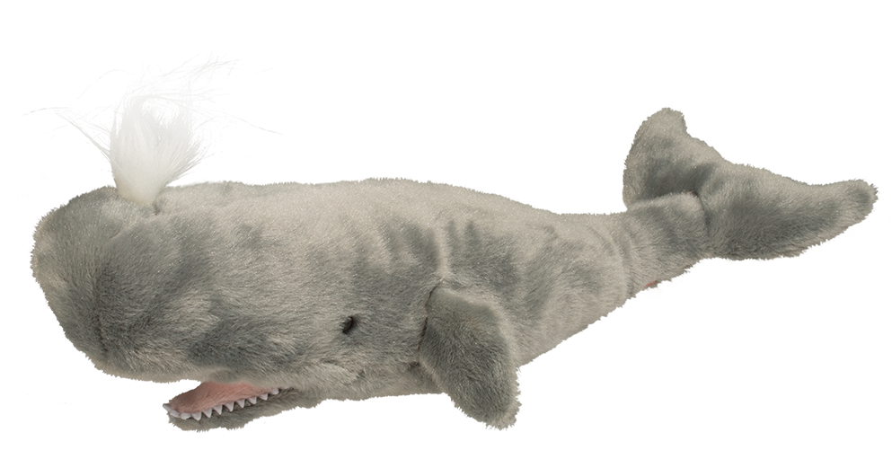 Douglas Splash Sperm Whale Clipart (993x501), Png Download