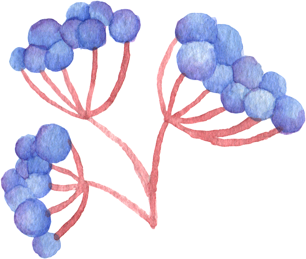 Grape Leaves Transparent Decorative - Watercolor Painting Clipart (1024x873), Png Download