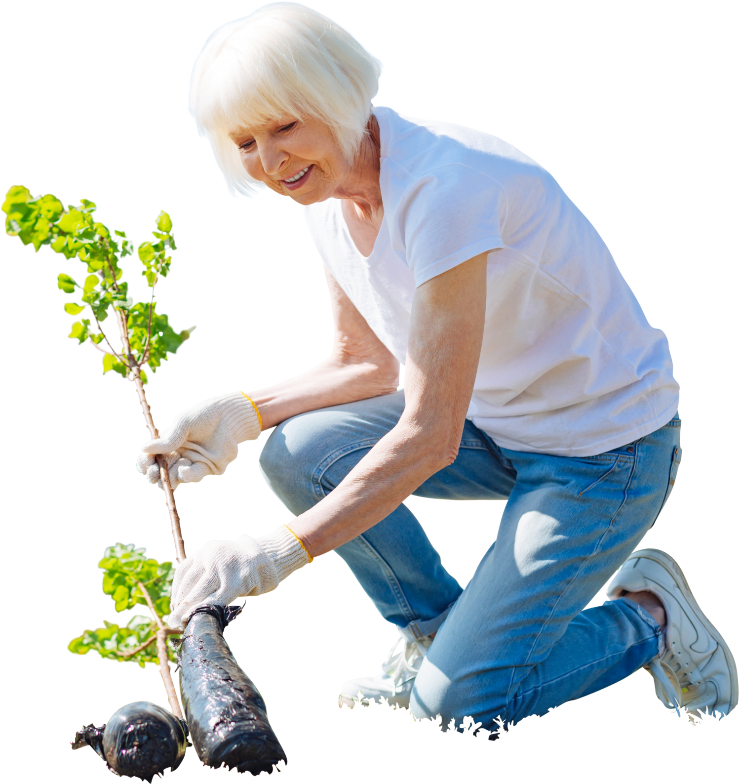Cutout Elder Woman Planting Tree,garden Activity - Cut Out People Gardening Clipart (1522x1599), Png Download