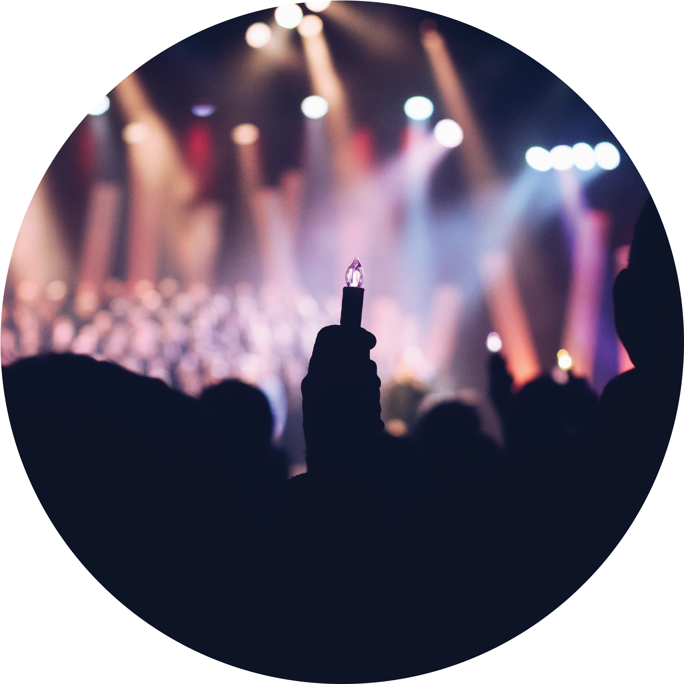 Catr Page1 - Silhouette Clipart (3693x2463), Png Download