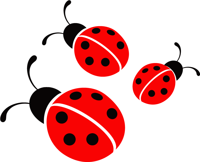 Ladybug Icon - Ladybird Png Clipart (1020x680), Png Download