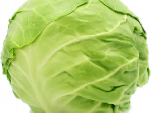 Cabbage Png Transparent Images - Капуста Пнг Clipart (640x480), Png Download