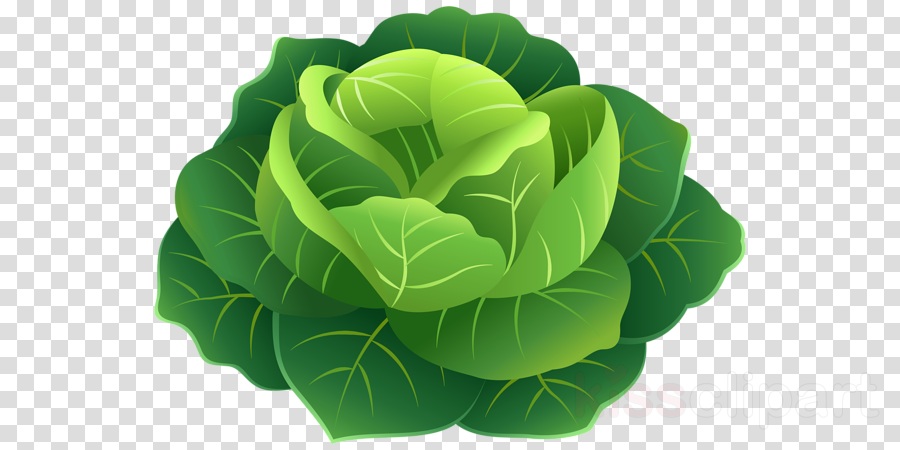 Cabbage Png Clipart Clip Art , Png Download - Planets With Alpha Channel Transparent Png (900x450), Png Download