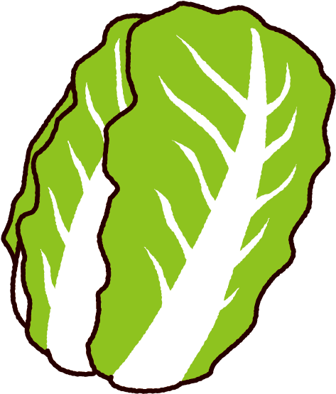Chinese Cabbage Png Download Clipart (630x630), Png Download