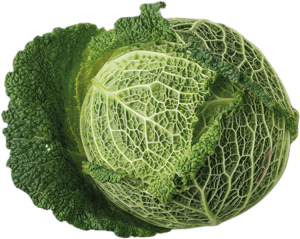 4 Unit - Savooikool Png Clipart (640x640), Png Download