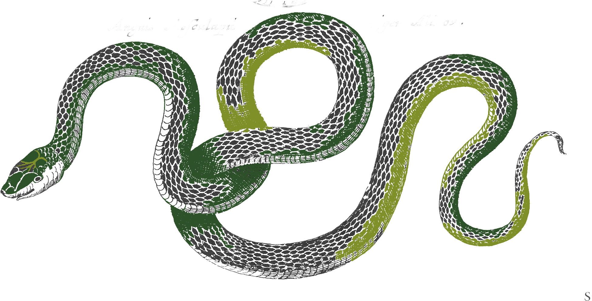 Example of thesis defense powerpoint picture