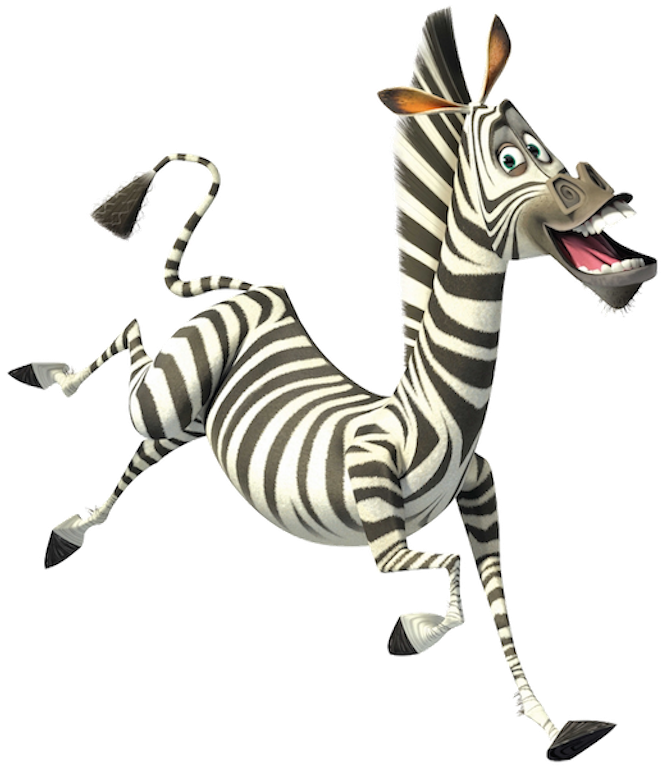 Madagascar Zebra Png Clipart (671x768), Png Download