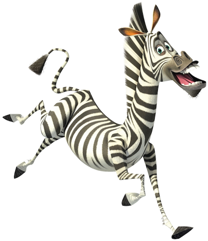 Madagascar Zebra Png Clipart - Large Size Png Image - PikPng