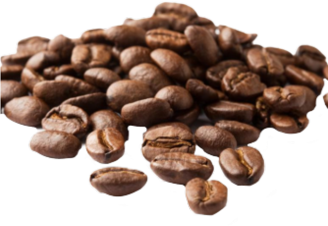 Coffee Beans Png Transparent Images - Transparent Coffee Bean Png Clipart (640x480), Png Download