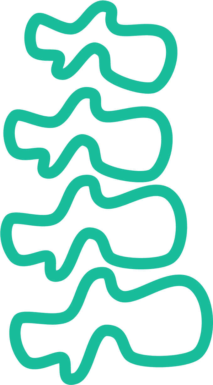 1250 X 1250 11 - Vertebral Column Clipart (1250x1250), Png Download