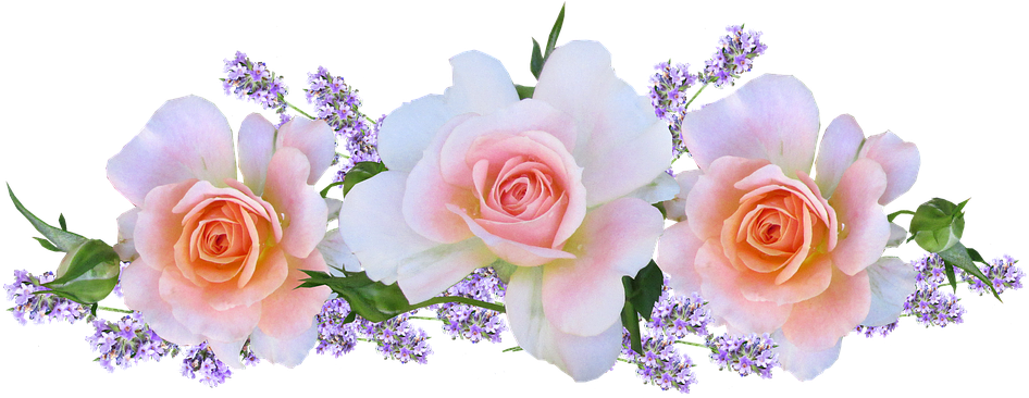 Roses, Pink, Arrangement, With Lavender - Arranjos De Flores Png Clipart (960x375), Png Download