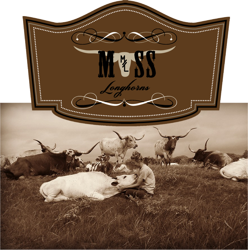 Moss Longhorns - Reindeer Clipart (814x823), Png Download