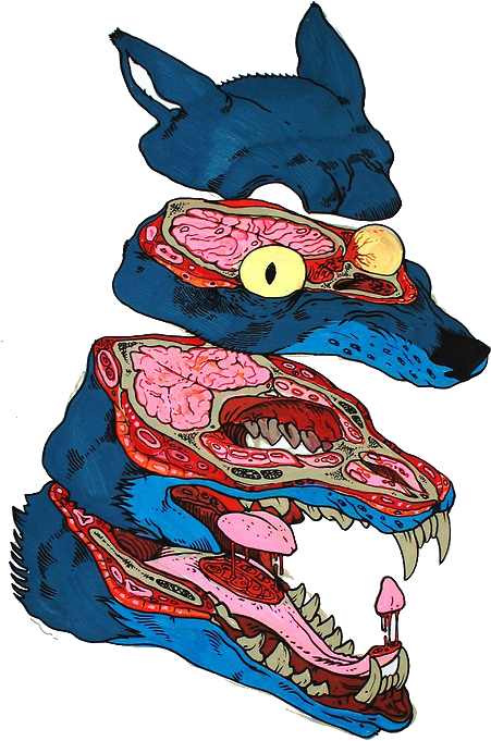 Transparent Tattoo - Wolf Art Tumblr Transparent Clipart (500x722), Png Download