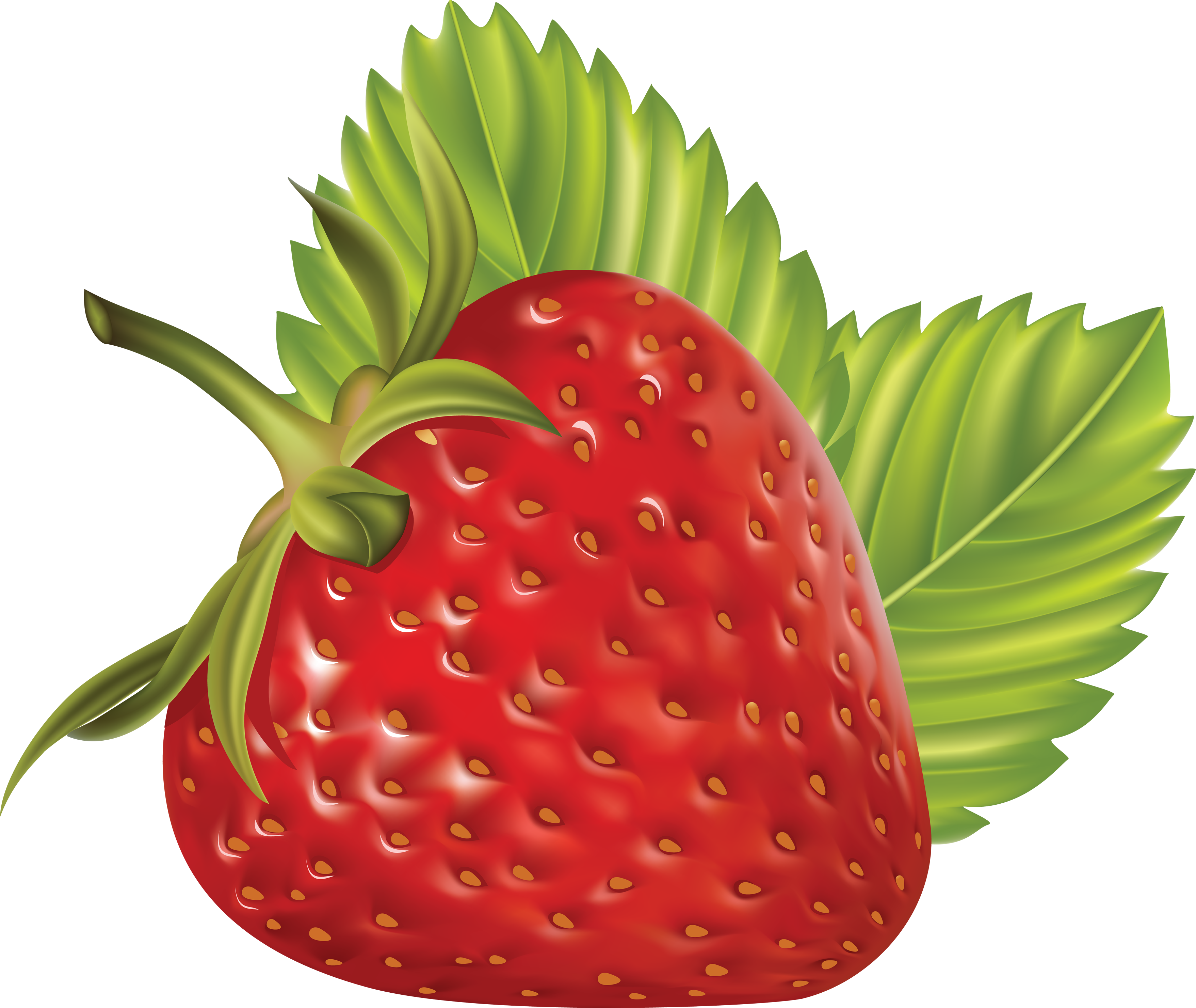 Strawberry Png, Png Photo, Berries, Clip Art, Berry - Strawberry Fruit Tran...
