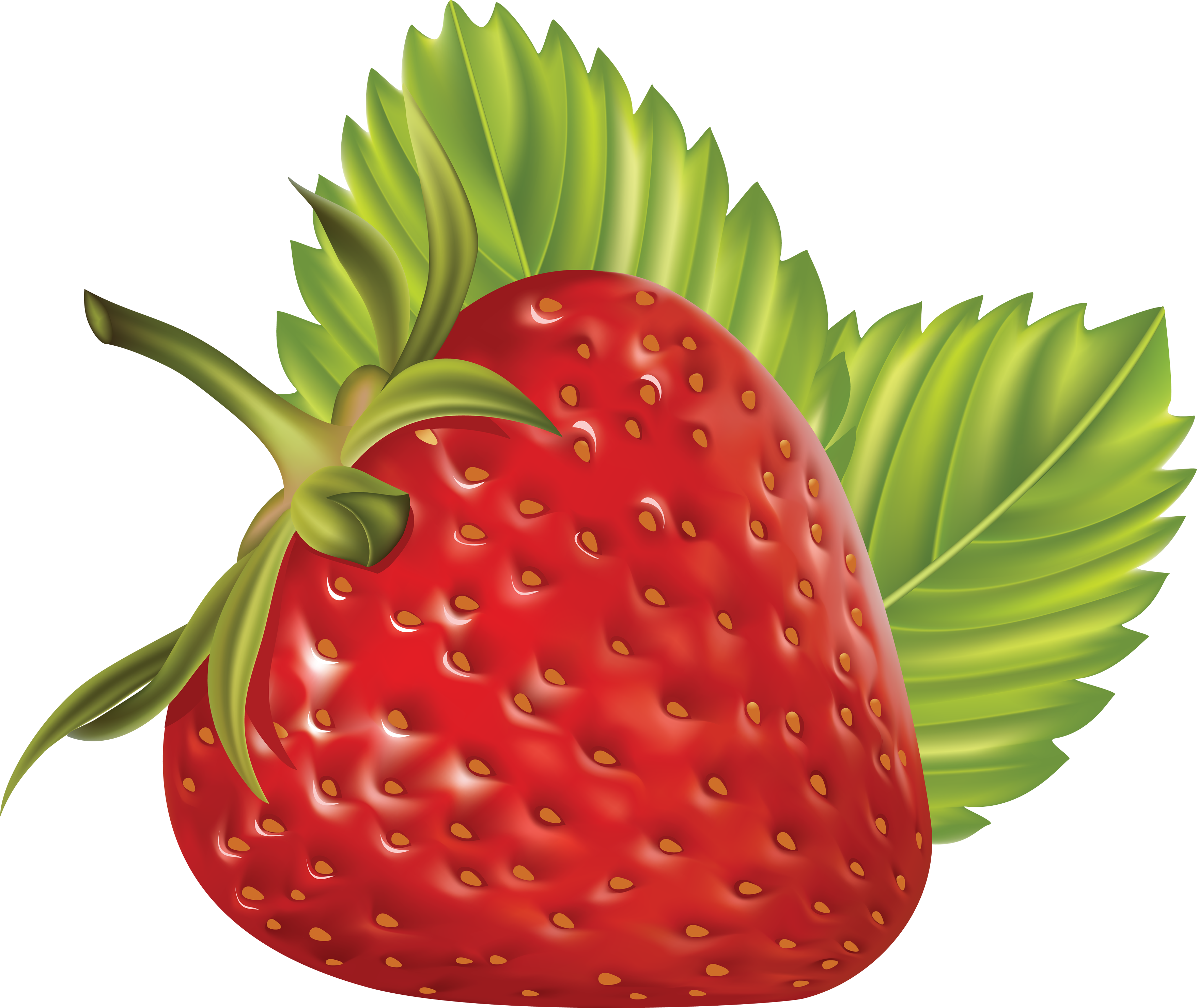 Strawberry Png, Png Photo, Berries, Clip Art, Berry - Strawberry Fruit Transparent Background (3514x2960), Png Download