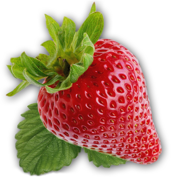Strawberry - Strawberry Png Clipart (600x600), Png Download