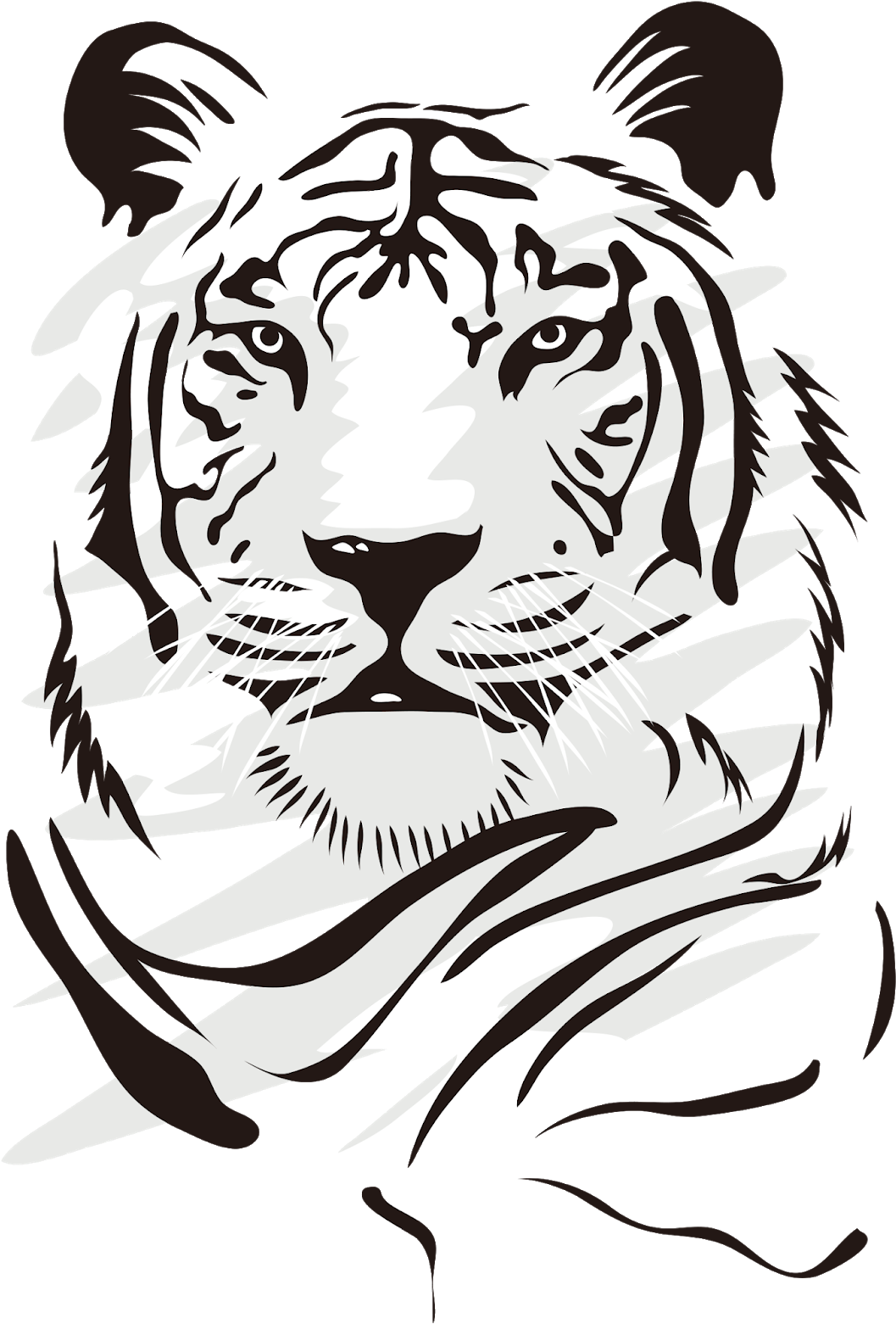 Tiger Png Vector - Dibujos De Tigres Blancos Clipart (1090x1600), Png Download