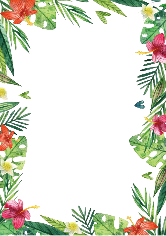 Hawaii Flowers And Plants - Hawaiian Flower Frame Png Clipart (668x950), Png Download