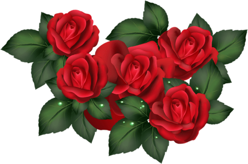 Free Png Download Transparent Red Roses Png Images - Transparent Clip Art Rose (850x584), Png Download