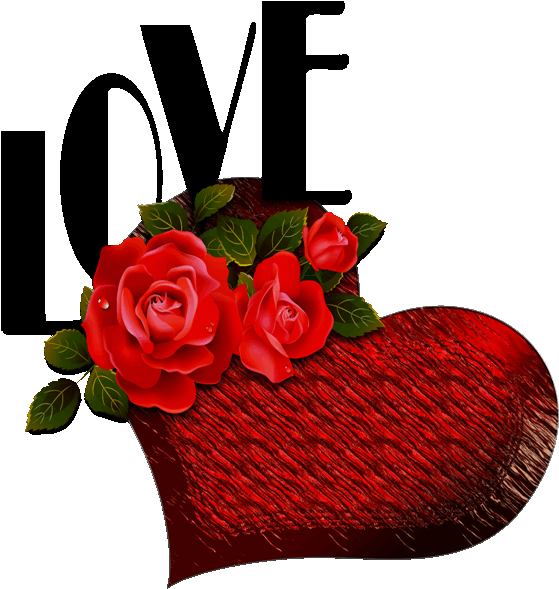 To My Dear Joe♡♡♡, Love You♡ - Red Rose Flowers Of Love Clipart (559x589), Png Download