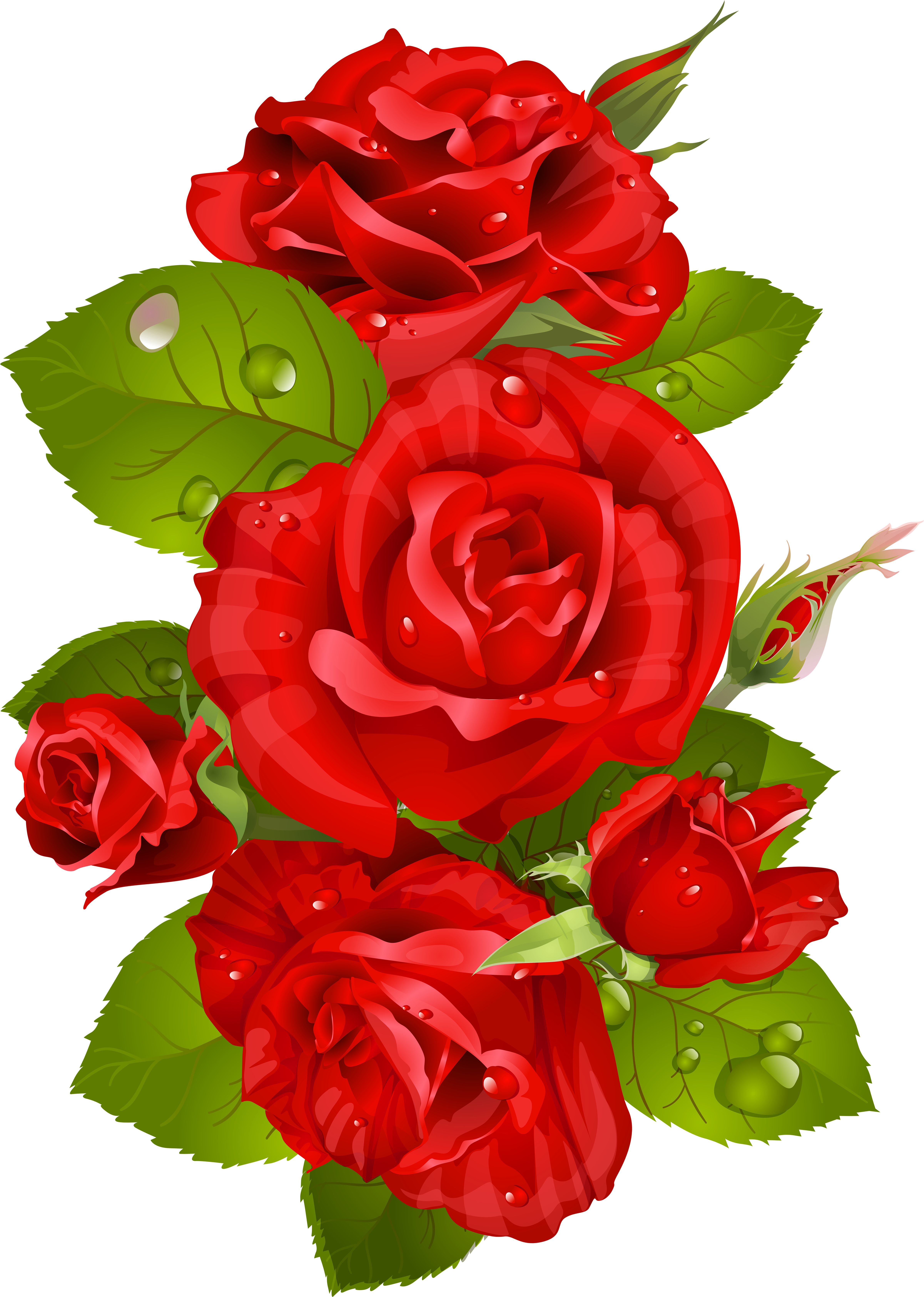 Red Rose Decoration Transparent Png Clip Art Image - Rose Art Transparent (5043x7000), Png Download