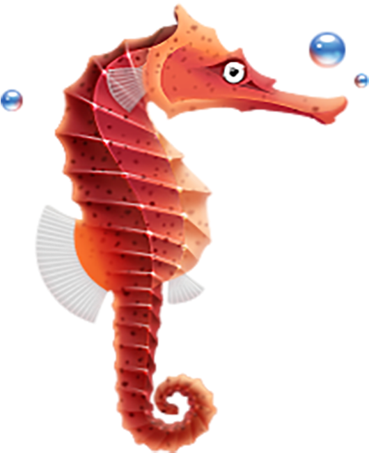 Seahorse - Seahorse Icon Clipart (663x663), Png Download