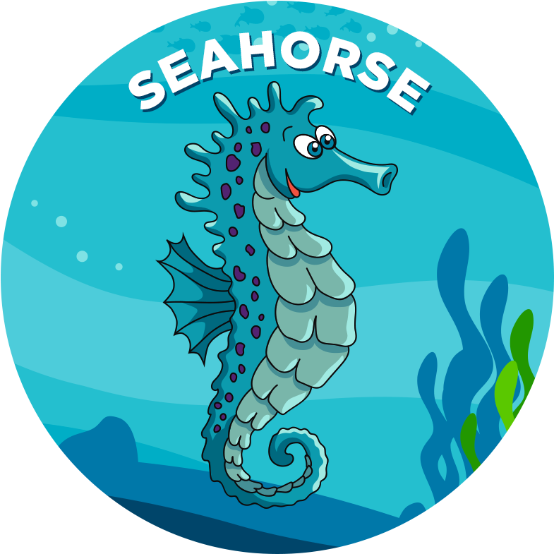 Drawing Clipart (800x800), Png Download