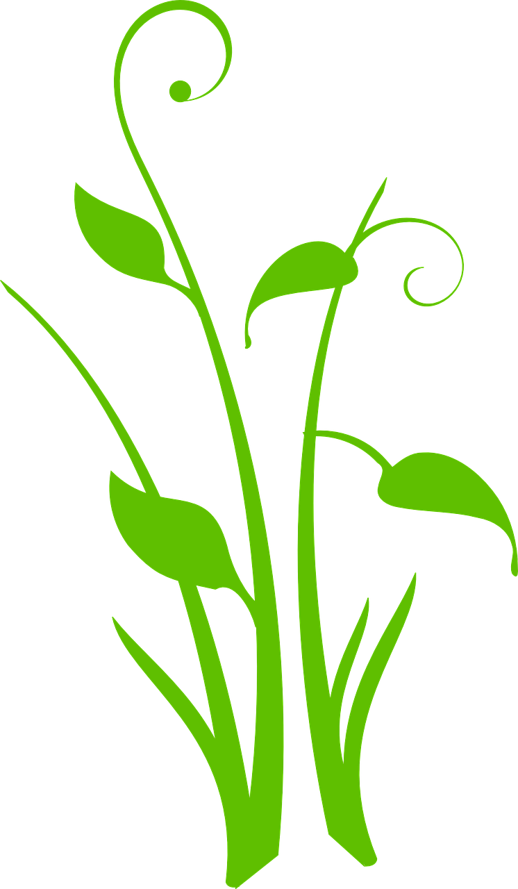 Vector - Plantas Diseño Png Clipart (746x1280), Png Download