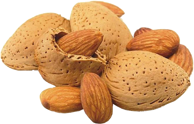 Badam Dasly - Kabuklu Badem Clipart (759x474), Png Download