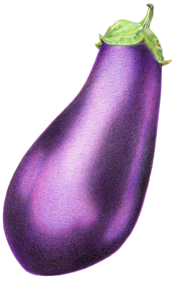 1200 X 1200 2 - Eggplant Clipart (1200x1200), Png Download