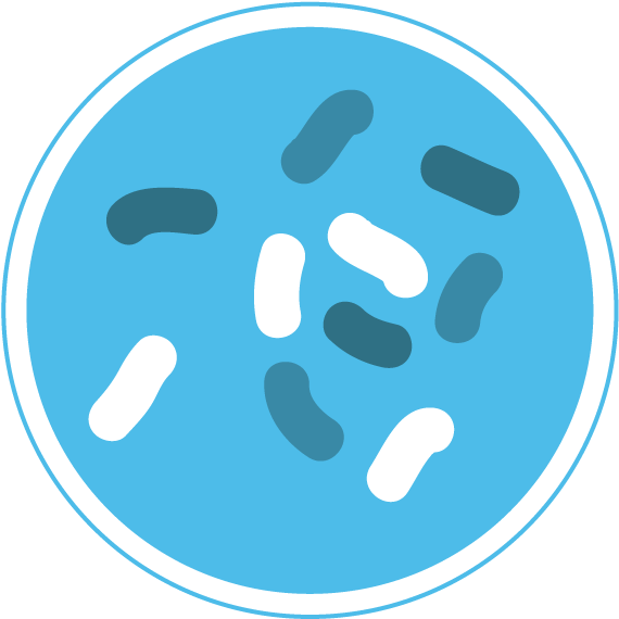 Bacteria Icon Png Clipart (588x577), Png Download