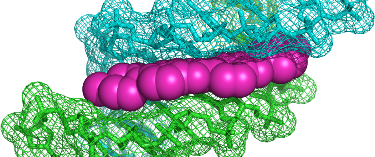 Net Clipart (1400x500), Png Download